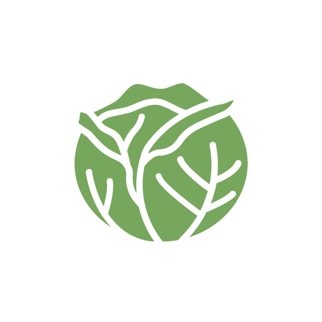 Cabbage