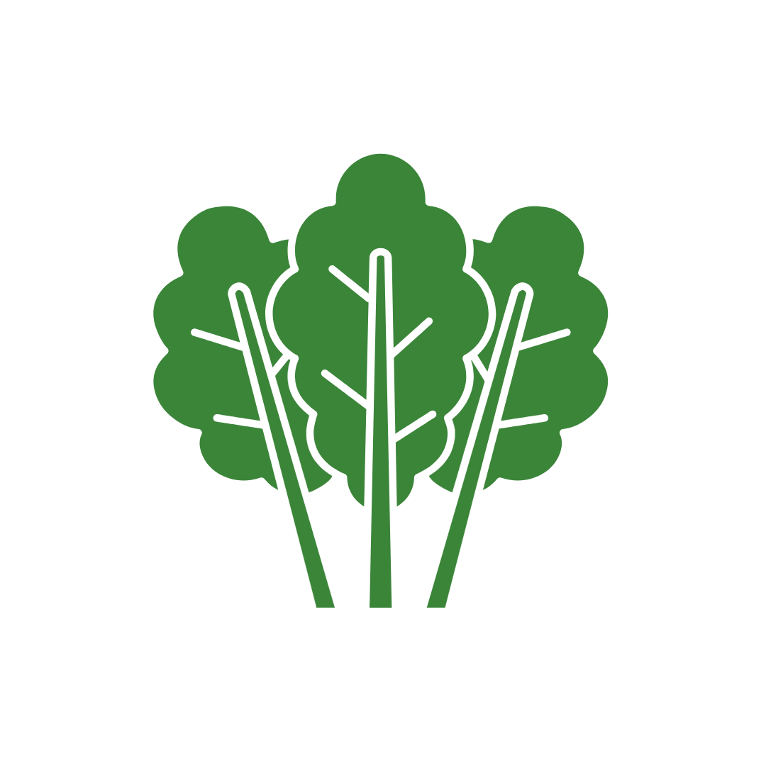Kale